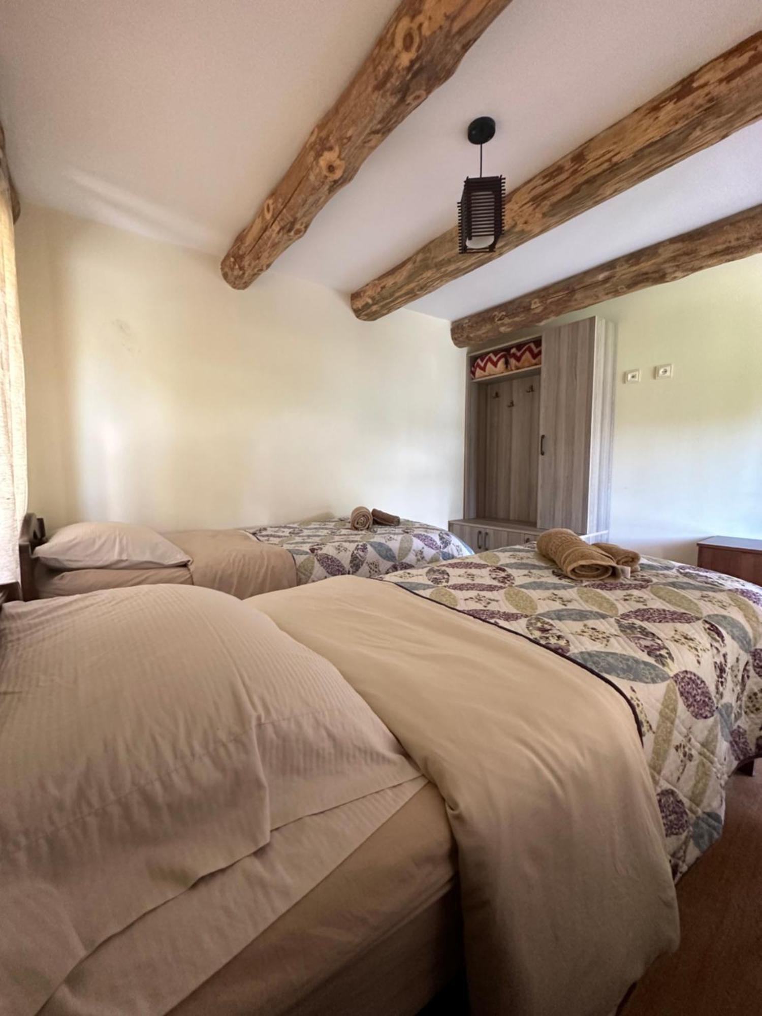 Guesthouse Lasharai Omalo Екстериор снимка