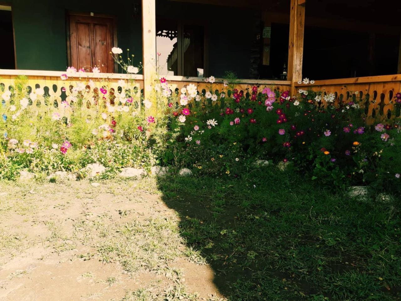 Guesthouse Lasharai Omalo Екстериор снимка